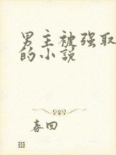 男主被强取豪夺的小说