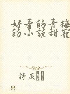 好看的青梅竹马的小说甜宠文