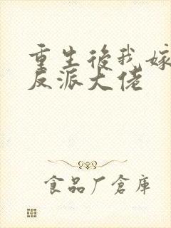 重生后我嫁给了反派大佬