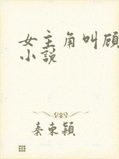 女主角叫顾念的小说