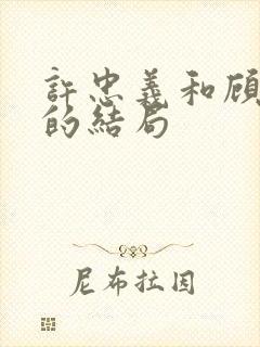 许忠义和顾雨菲的结局封面