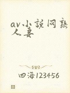 av小说网熟女人妻