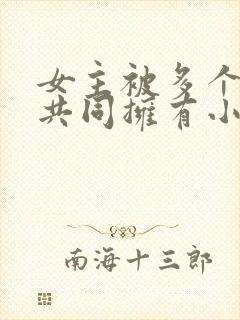 女主被多个男主共同拥有小说封面