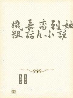 机长脔到她哭h粗话h小说