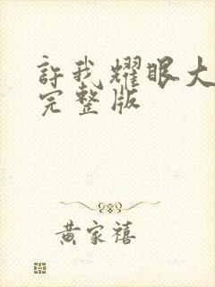 许我耀眼大结局完整版