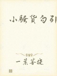 小骚货勾引我封面