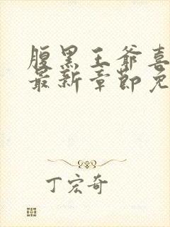 腹黑王爷喜当爹最新章节免费阅读封面