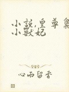 小说,皇尊枭宠小兽妃