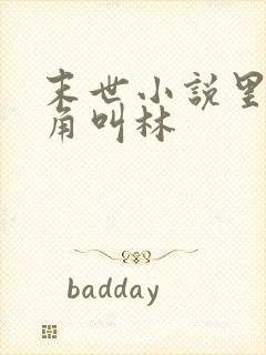 末世小说里面主角叫林