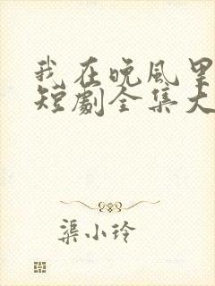 我在晚风里等你短剧全集大结局封面