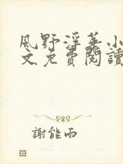 风野浮华小说全文免费阅读无弹窗封面