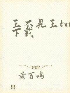 王不见王txt下载封面