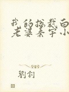 我的总裁白富美老婆秦宇小说正版封面