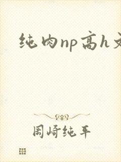 纯肉np高h文封面