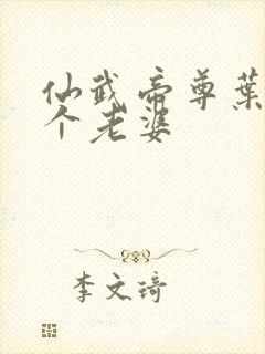 仙武帝尊叶辰几个老婆