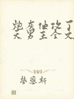 炮灰他攻了龙傲天男主全文阅读封面