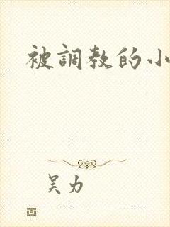 被调教的小骚货