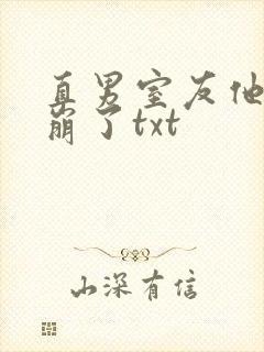 直男室友他人设崩了txt