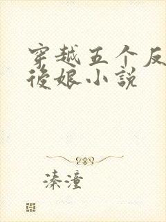 穿越五个反派的后娘小说