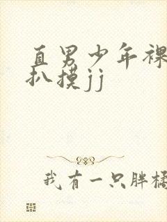 直男少年裸体被扒摸jj