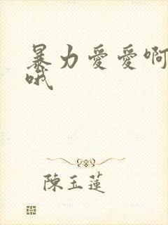 暴力爱爱啊嗯嗯哦封面