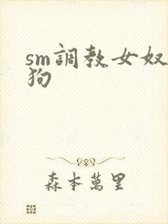 sm调教女奴母狗