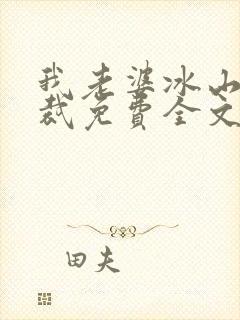 我老婆冰山女总裁免费全文阅读