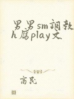 男男sm调教高h腐play文