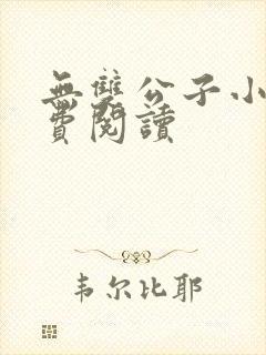 无双公子小说免费阅读