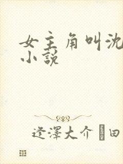 女主角叫沈颜的小说