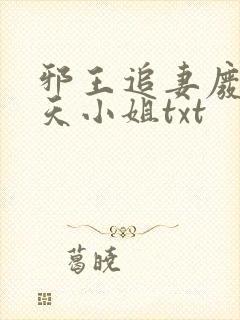 邪王追妻废材逆天小姐txt封面