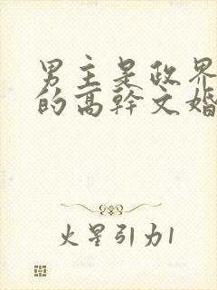 男主是政界大佬的高干文婚途