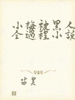 小梅被黑人调教全过程小说封面