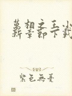 万相之王小说最新章节下载封面