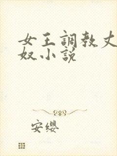 女王调教丈夫为奴小说封面