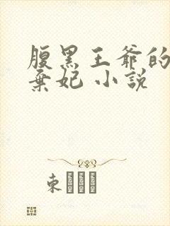 腹黑王爷的天价弃妃 小说