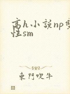 高h小说np双性sm