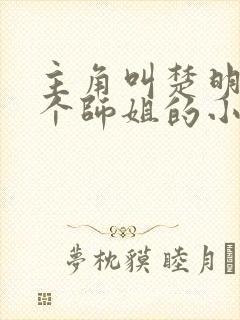 主角叫楚明有七个师姐的小说