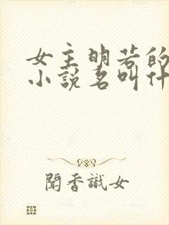 女主明若的穿越小说名叫什么封面