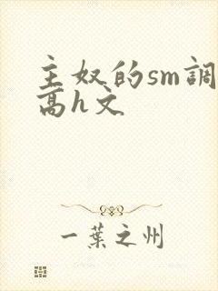 主奴的sm调教高h文
