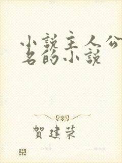 小说主人公刘伟名的小说封面