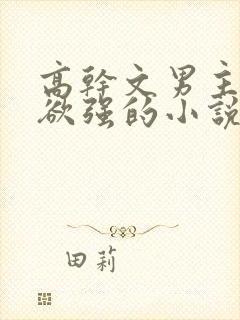 高干文男主占有欲强的小说