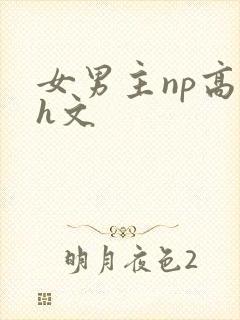 女男主np高辣h文