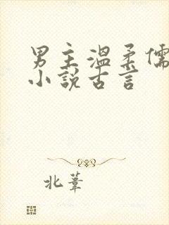 男主温柔儒雅的小说古言封面