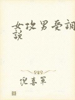 女攻男受调教小说封面