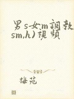 男s女m调教(sm,h)视频封面