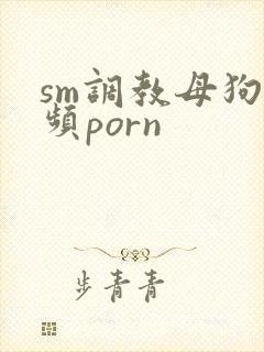 sm调教母狗视频porn