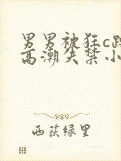 男男被狂c躁到高潮失禁小说