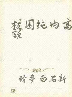 校园纯肉高h小说