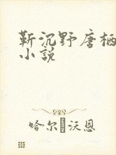 靳沉野唐栖雾的小说